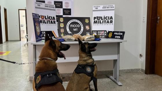 Operação mira traficantes e desmantela 'boca de fumo' em MT
