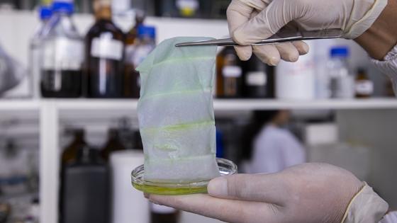 Pesquisadores anunciam embalagem inteligente muda de cor e avisa quando o peixe estraga 