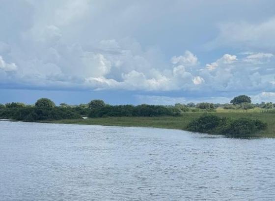 Pantanal reduz desmatamento em 75% e não registra incêndios em abril, aponta Deter/Inpe