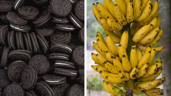 Bolacha recheada tira 40 minutos da vida e banana adiciona oito, revela estudo da USP