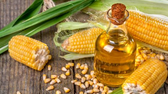 Brasil exporta US$ 15 bilhões em abril e registra recordes em produtos menos tradicionais 