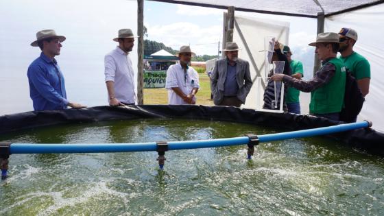 AgroBrasília 2025 aposta em inovação e sustentabilidade com dez circuitos tecnológicos 
