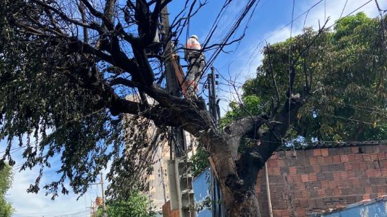 Energisa diz que incêndio teve origem em residência e não transformador 