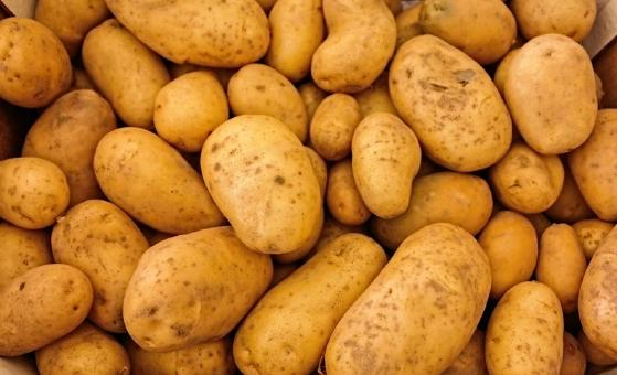 Novos estudos climáticos ampliam áreas aptas ao cultivo de batata no País