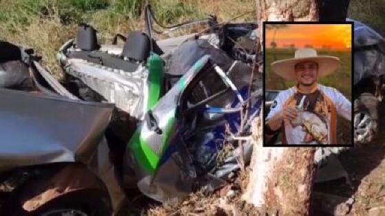 Engenheiro morre após caminhonete e colidir contra árvore