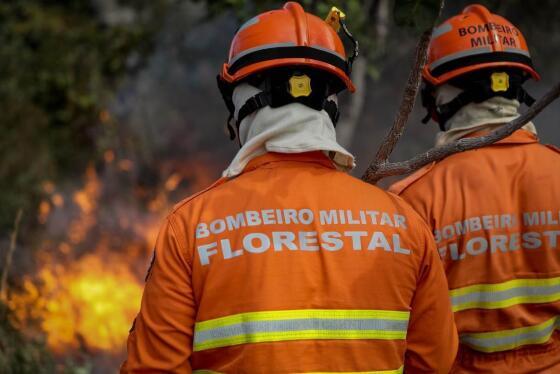 Uso do fogo no Pantanal está proibido a partir deste domingo (01)