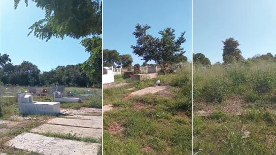 Familiares denunciam abandono de cemitério em VG.