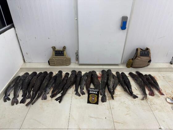 Mais de 120 kg de pescado ilegal é apreendido em chácara de Barão de Melgaço