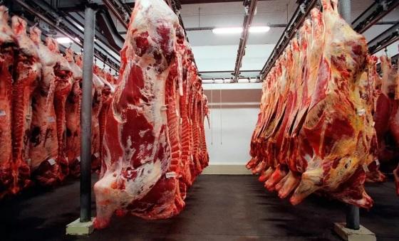 Várzea Grande e Governo Federal reforçam fiscalização de carne, leite e derivados