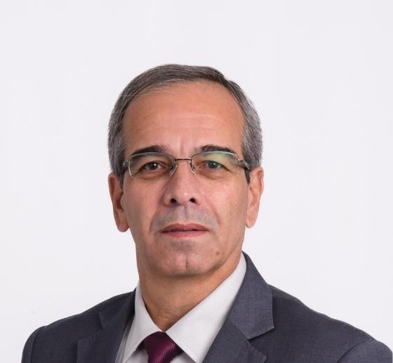 advogado artigo