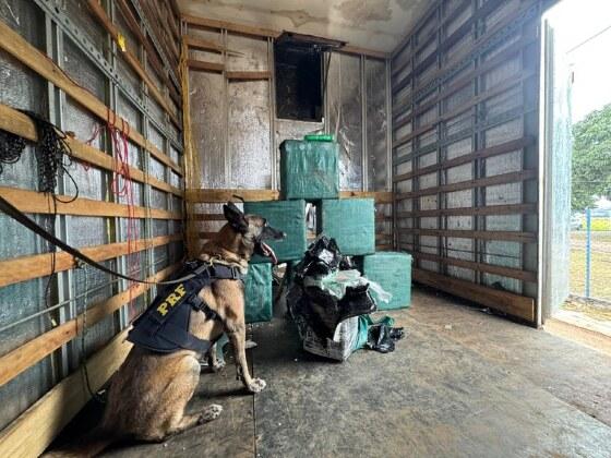 PRF intercepta caminhão com quase 270 kg de droga na BR-364.