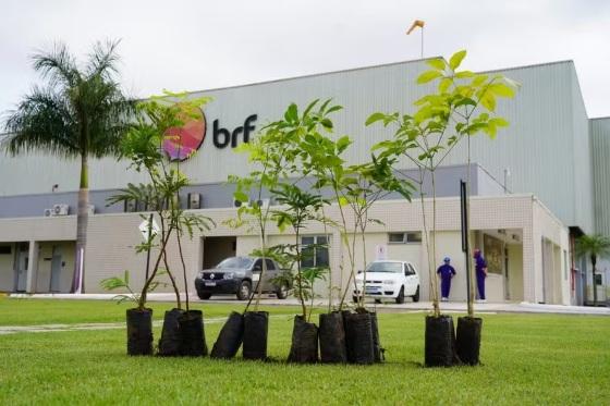BRF deve indenizar trabalhadora que perdeu bebês no expediente