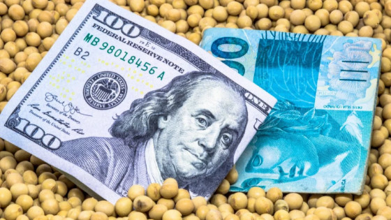 Dólar em alta favorece exportações, mas pressiona custos no campo.