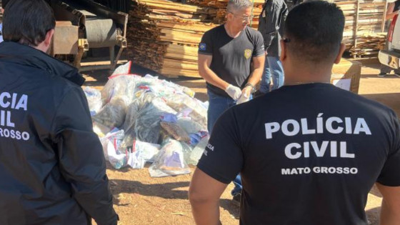 Polícia Civil incinera 200 quilos de drogas.