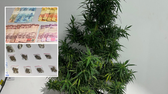 Dupla é presa por tráfico de drogas em Nobres.