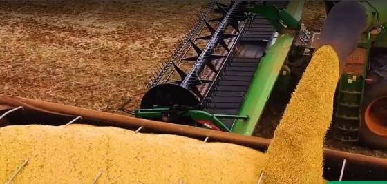 Exportações de Mato Grosso podem sofrer impacto de tarifas americanas de 50%