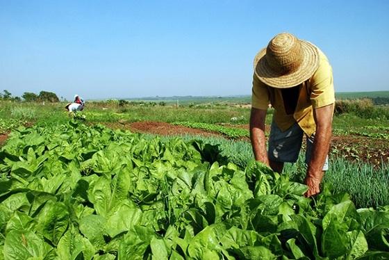 Incra publica mudanças que podem acelerar assentamentos rurais