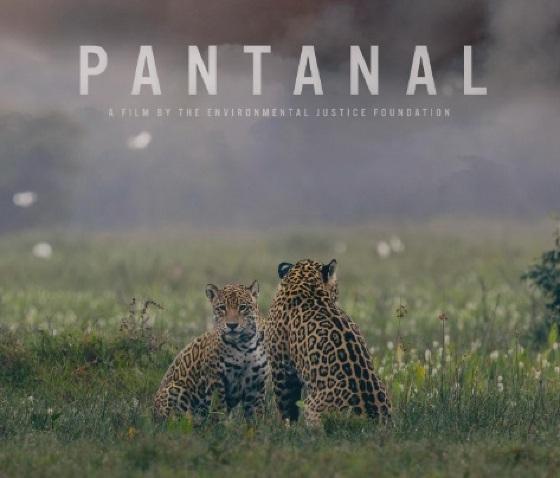 Documentário Pantanal