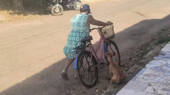 Mulher é flagrada arrastando cachorro debilitado pelas ruas.
