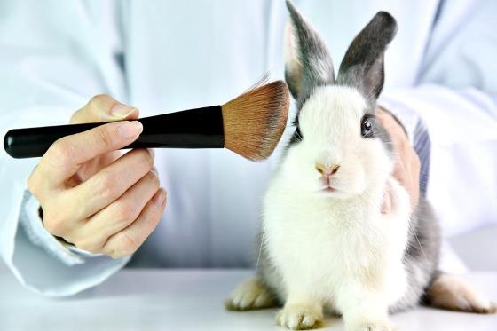 Lula sanciona lei que proíbe testes de cosméticos e perfumes em animais