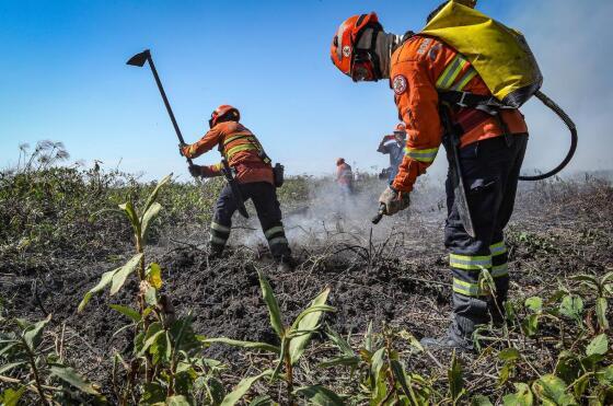 Bombeiros combatem incêndios em cinco regiões de MT