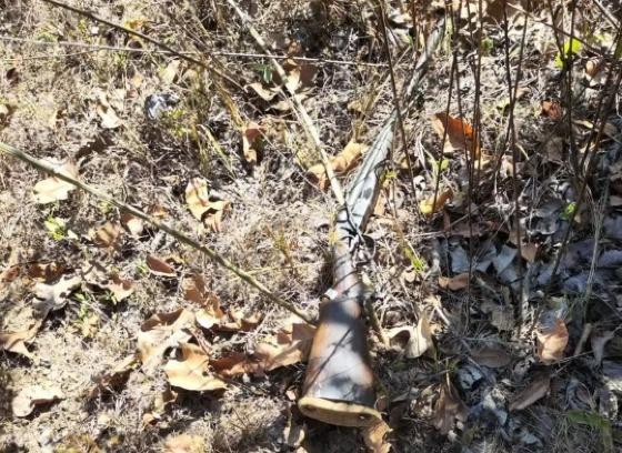 Avó morre e neto fica ferido em disparo acidental durante caça; idoso se suicida após o ocorrido