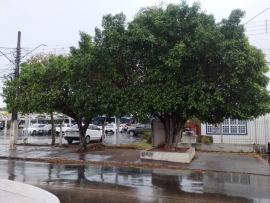 Chuva leve surpreende Várzea Grande