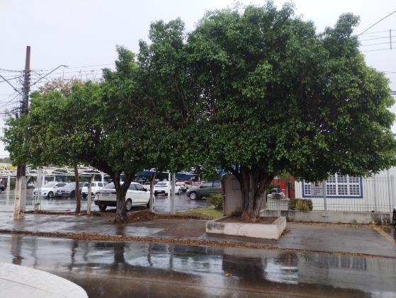 Chuva leve surpreende Várzea Grande