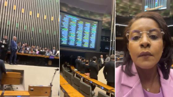Gisela relata tensão e resistência no plenário da Câmara.