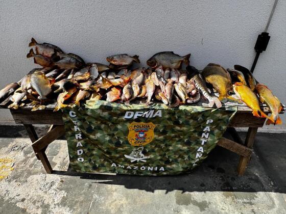 Dema apreende mais de 1 tonelada de pescado em seis meses